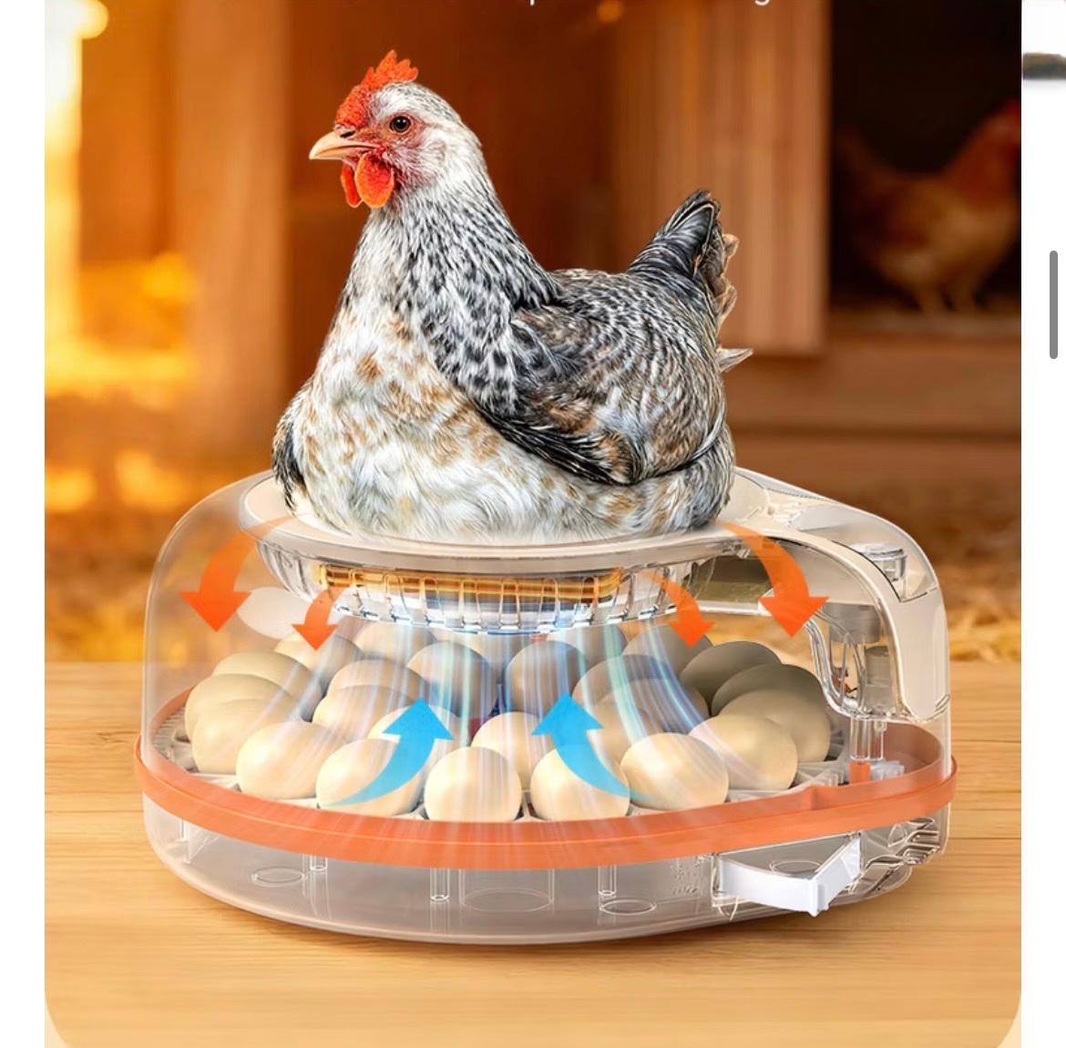 HERA FARM Tam Otomatik 26'lı Kuluçka Makinası-26 Pro - Görsel 8