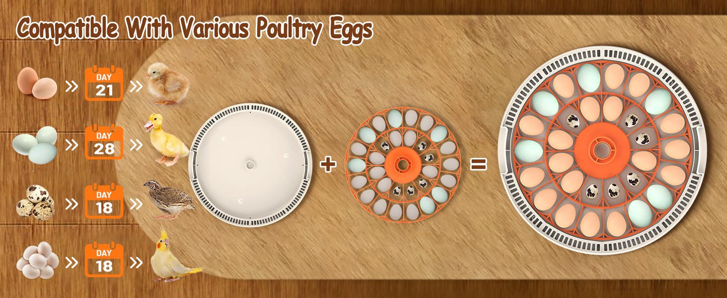 HERA FARM 30'lu Kuluçka Makinası-30H - Görsel 4