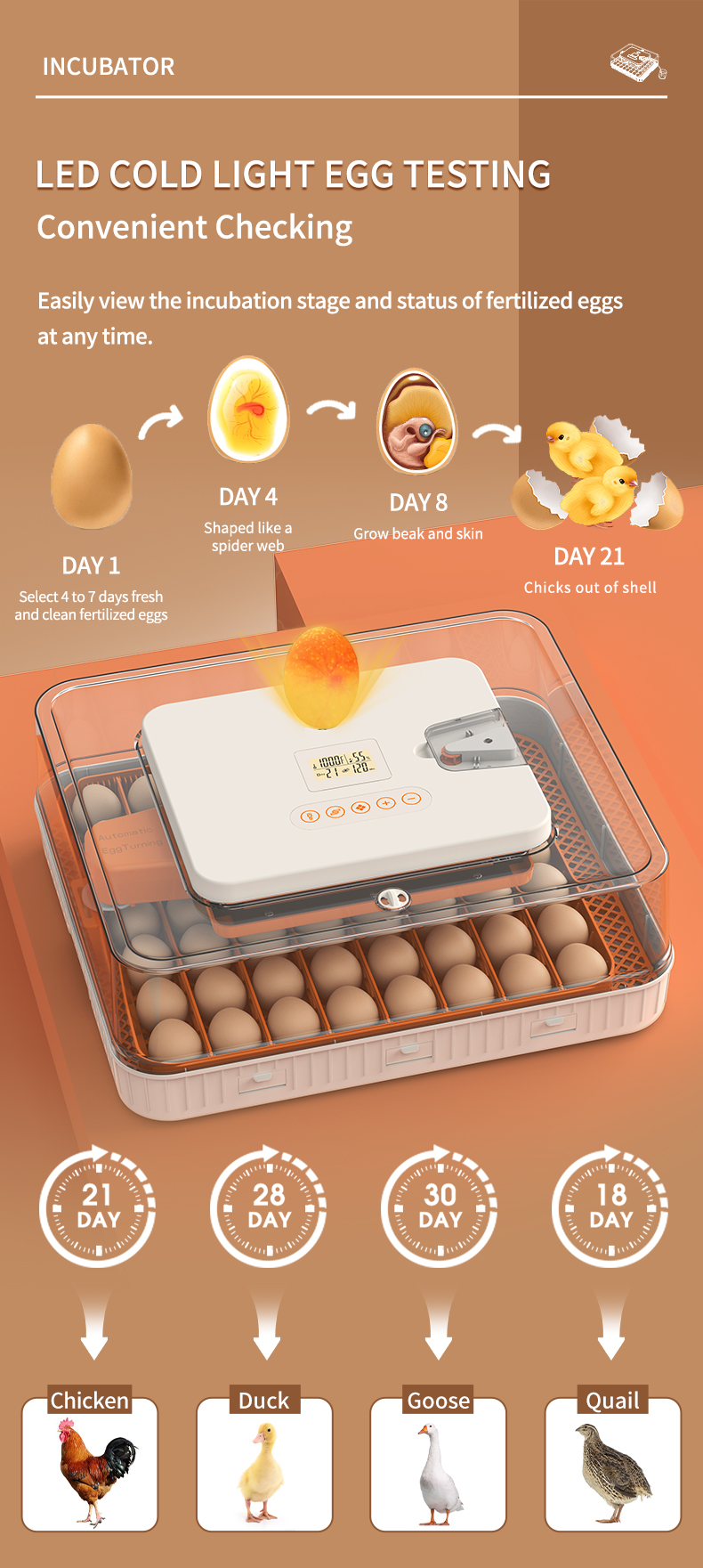 HERA FARM 56'lı Kuluçka Makinası-56H - Görsel 12