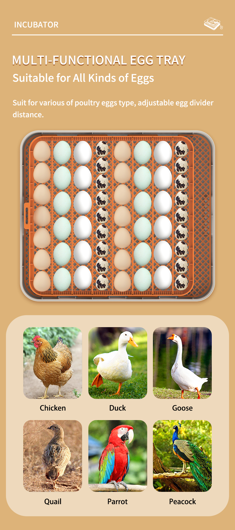 HERA FARM 56'lı Kuluçka Makinası-56H - Görsel 7