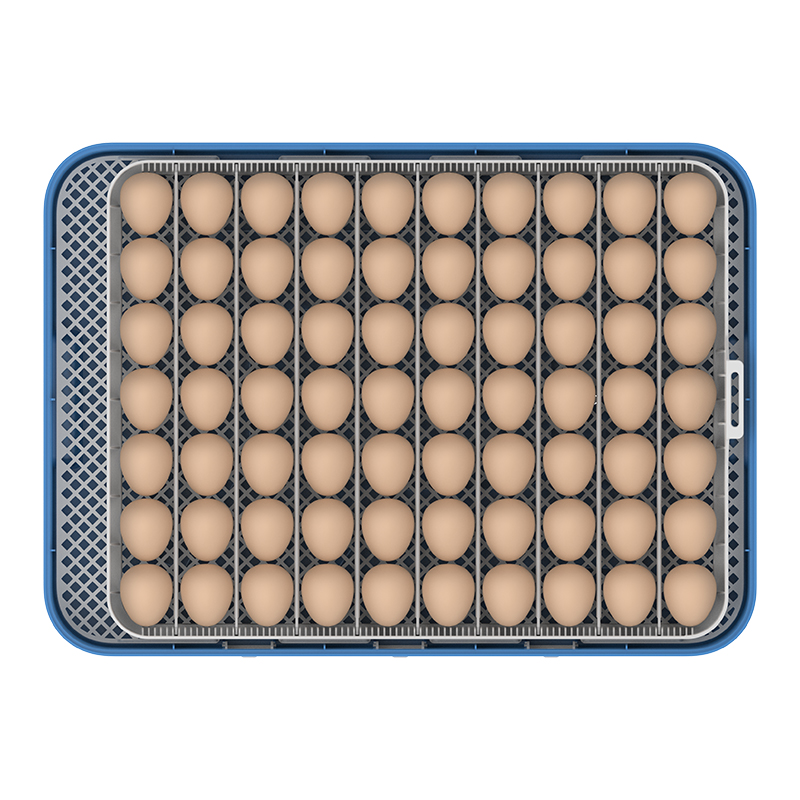 HERA FARM 70'li Kuluçka Makinası-70H - Görsel 8