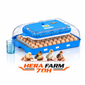 HERA FARM Tam Otomatik 70'li Kuluçka Makinası-70H (Civciv Suluğu,Yemliği ve Takip Kartı Hediyel