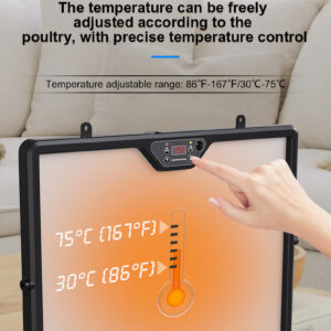 双面育雏板-英文_05