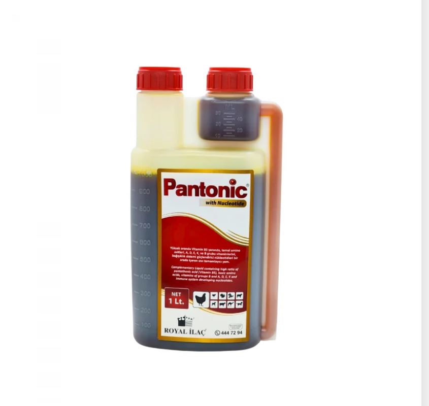 Pantonic 1 Lt. (Multivitamin ve Mineral Desteği) Royal İlaç